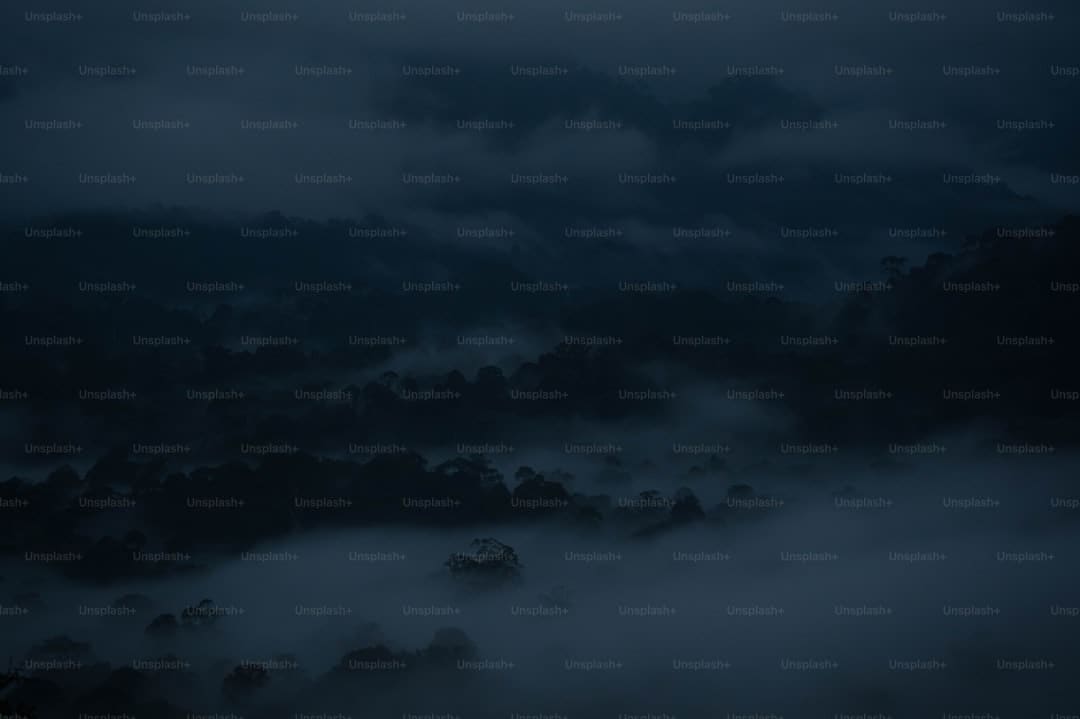 4日正式运转！来看看成都世运会主媒体中心里都有什么